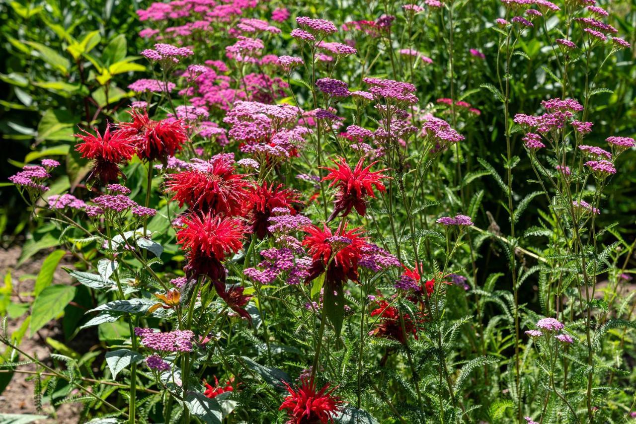 B&B De Hemelse Polder Sint-Laureins Kültér fotó