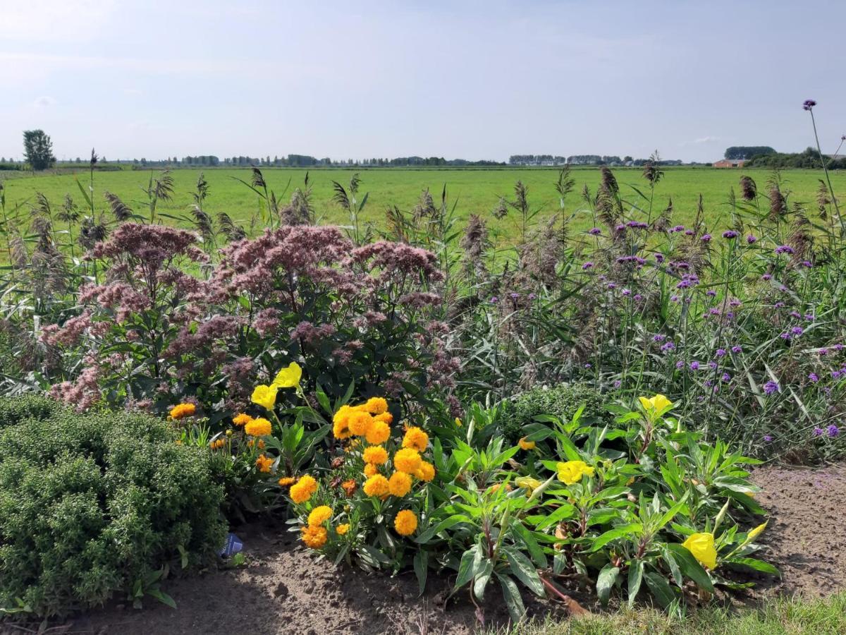 B&B De Hemelse Polder Sint-Laureins Kültér fotó