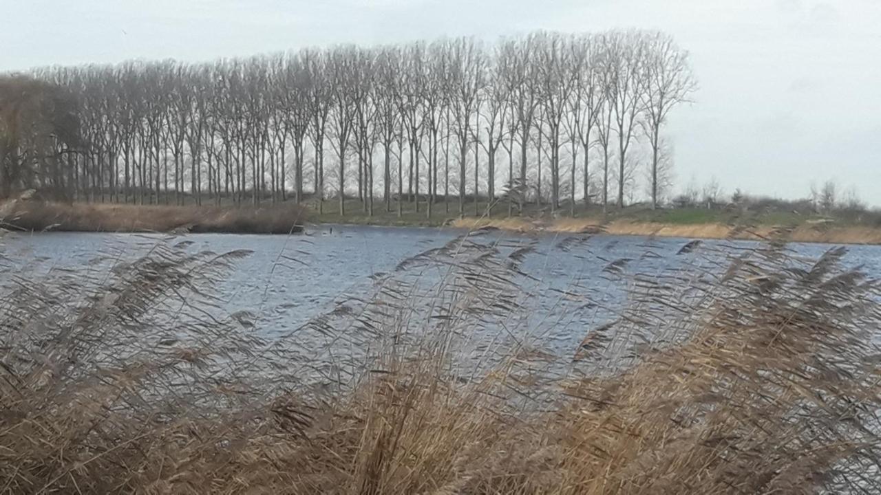 B&B De Hemelse Polder Sint-Laureins Kültér fotó